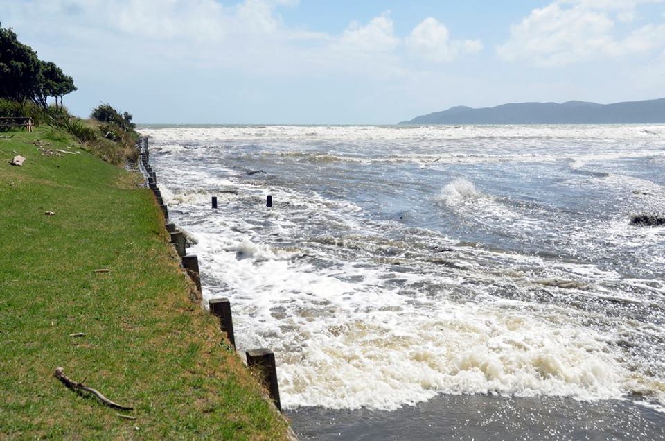 Tide surge on the Wharemauku Stream