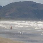 Kapiti Women's Triathlon