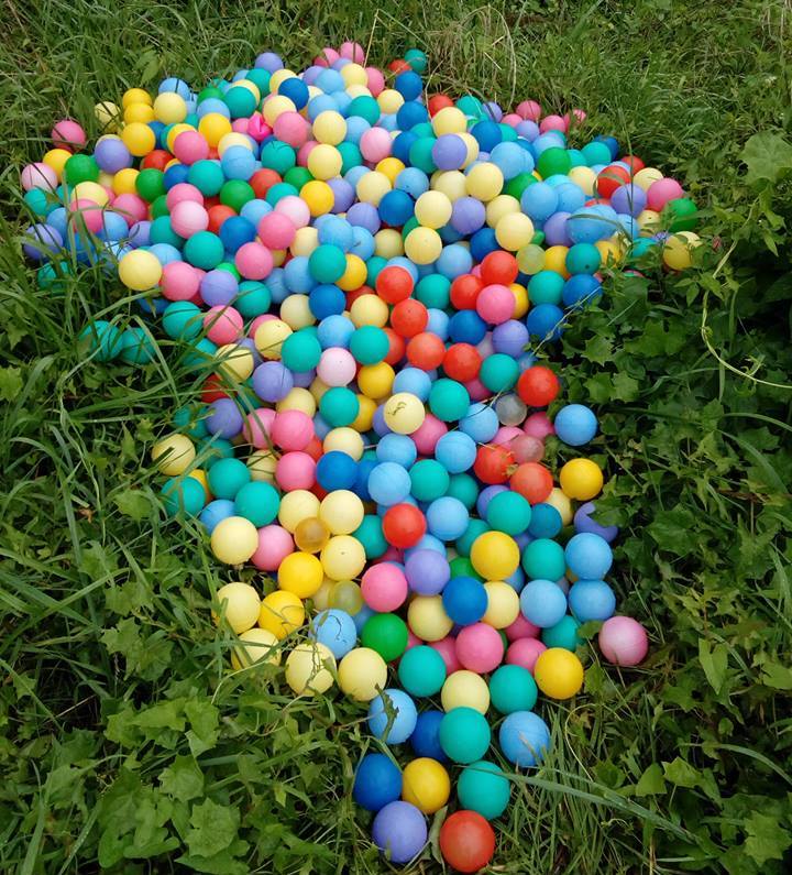 play balls in Waikanae River