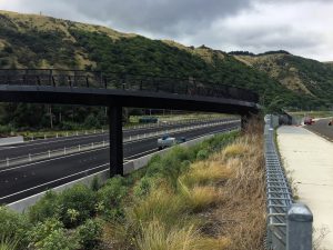 Kapiti Expressway Bike Track